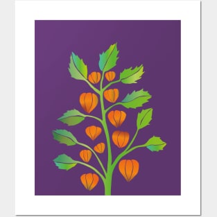 Physalis vector Posters and Art